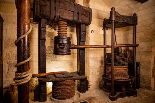 Guided tour and tasting at La Cantina Frrud - Wine Museum