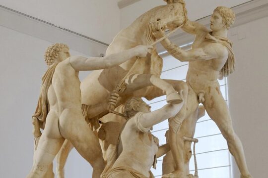 Tour of the Archaeological Museum of Naples