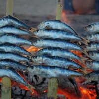 Street Food Tours