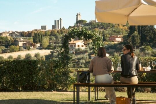 Private Wine & Oil Tasting with Lunch