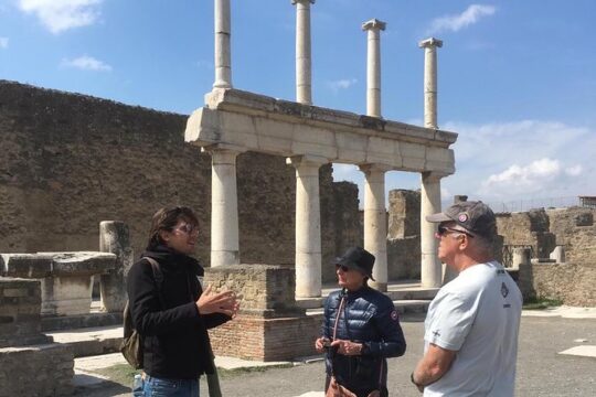 3 Hours Walking Tour in Pompeii with an Archaeologist