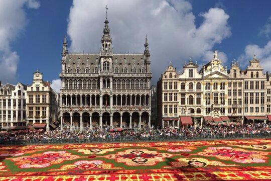 Full-Day Private Tour of Brussels from Paris