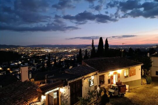 Private Tour to the Alhambra at night (Nasrid Palace)