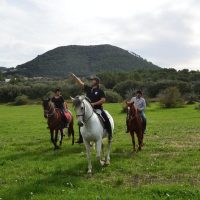 Horseback Riding