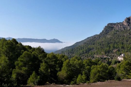 Tarragona Ruins & Priorat 1 day - Reduced group hotel pick up from Barcelona