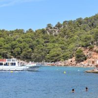Sightseeing Tickets & Passes