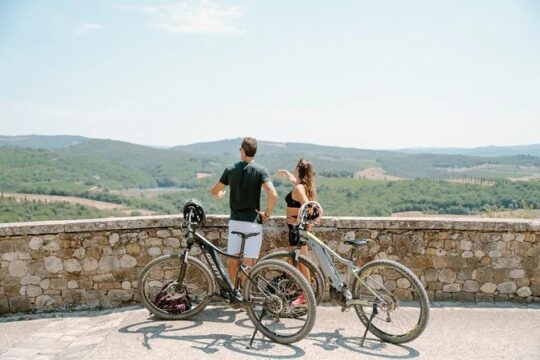 Explore Chianti's Beauty: E-Bike Tour & Wine Tasting