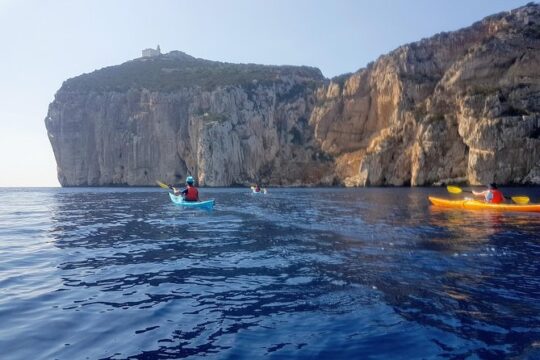 Half Day Sea Kayak Trip
