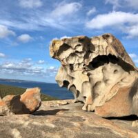 Day Trips & Excursions