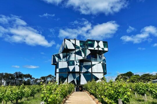 Wine Tasting in McLaren Vale