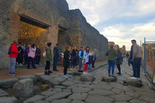 Pompeii: 2-Hour Walking Tour with professional guide