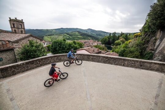 Fiesole: Tuscan Countryside Half Day E-Bike Tour & Farm visit