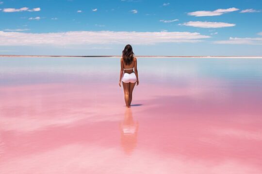 Full Day Guided Tour in Coloradas and Rio Lagartos
