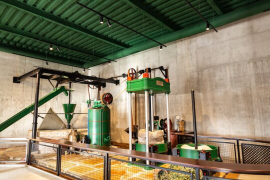 Guided tour and olive oil tasting in Alhaurin el Grande (Málaga)