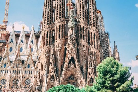 Barcelona Old City Walking Tour and Churros Stop with a Local Guide