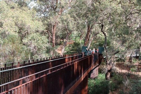 Kings Park Botanicals And Beyond