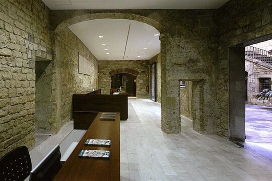 Picasso & Gothic Quarter Walking Tour with Skip the Line Ticket