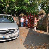 Luxury & Special Occasions