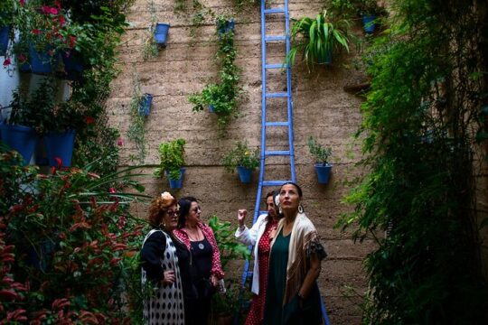 Off the beaten path. Cordoba Patios Private Tour
