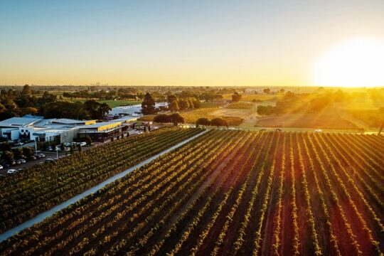 Half-Day Swan Valley Winery & Brewery