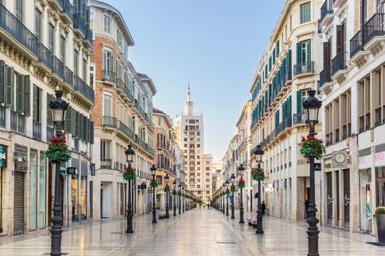 Private 2-hour waking tour of Malaga, Roman Theatre and Alcazaba