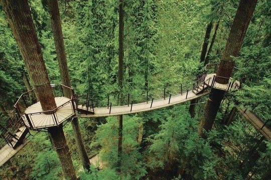Best of Vancouver Highlights /Suspension Bridge/ Free Pizza Party Tour Private