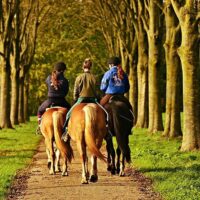 Horseback Riding