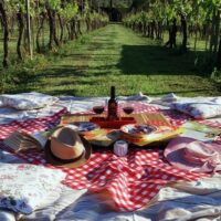 Half-day Tours