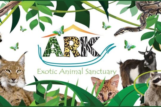 Fox Encounter for 2 people and park entry