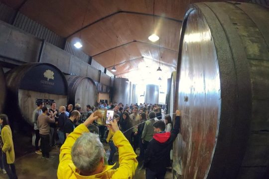 Live in the cider house, the tradition of the txotx.