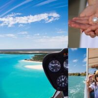 Tours & Sightseeing