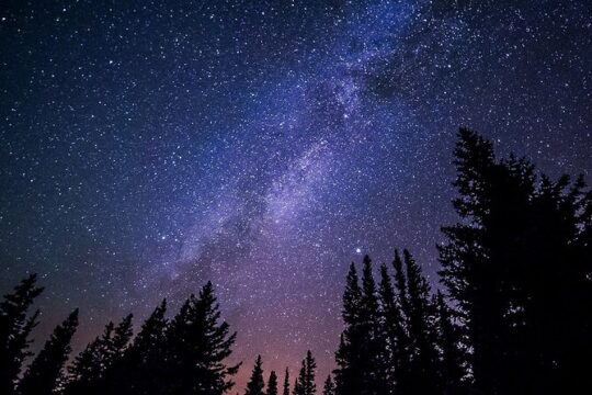 Stroll in the stars Private activity