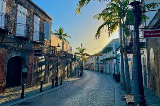 Half-Day Local Experience in St. Thomas