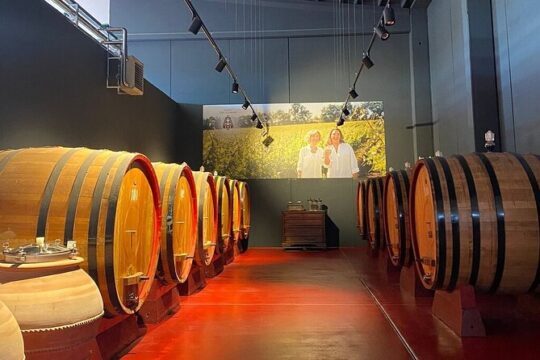 Visit to the cellar and wine tasting 30 minutes from Pescara