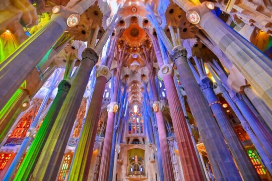 Gaudi Private Tour with Sagrada Familia & Park Guell in Barcelona