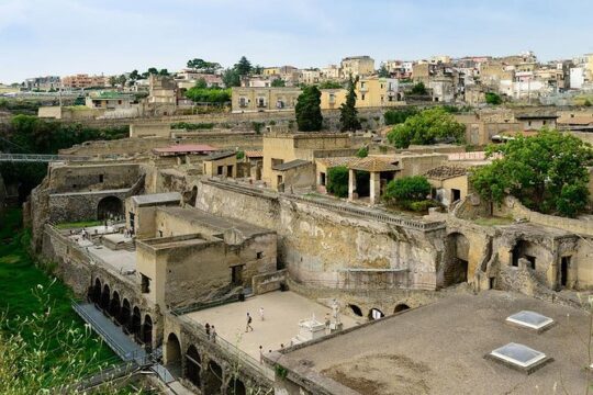 Shore excursion to the excavations of Herculaneum (2 hours)