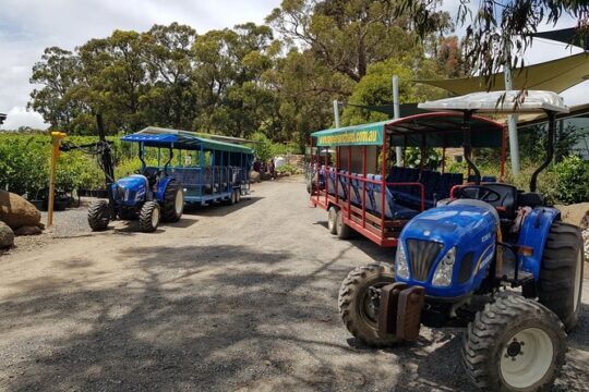 Small-Group Tractor Tour at Rayners Orchard from Melbourne