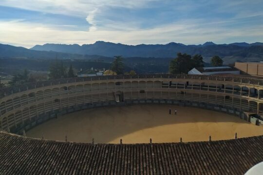Guided Tour of Ronda
