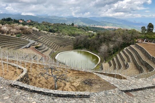 Etna Wine tour experience
