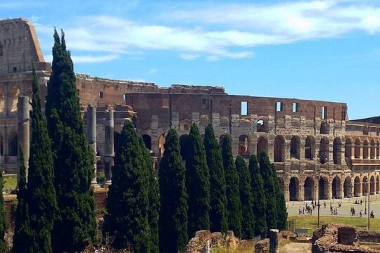 Colosseum and Roman Forum Private Tour led by an archaeologist