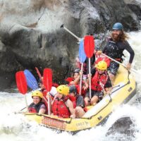 Shore Excursions