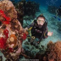 Scuba Diving