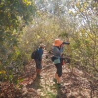Hiking & Camping