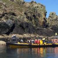 Cruises, Sailing & Water Tours