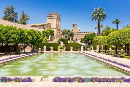 Guided visit to Alcazar de los Reyes Cristianos with admission