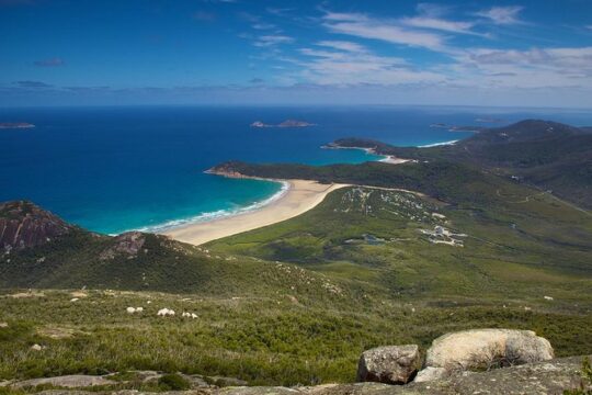 Wilson's Promontory & Phillip Island - 'Prom & Penguins' Tour