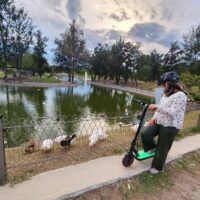 Vespa, Scooter & Moped Tours
