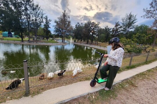 Electric Scooter Tour in Guadalajara