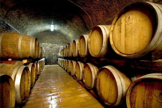 Montalcino and Pienza Tuscany Wine&Cheese ShoreExcursion from Civitavecchia Port