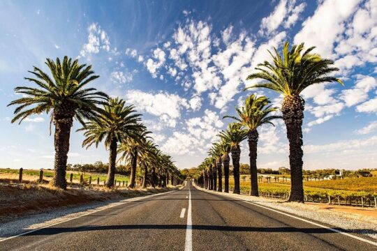 Barossa Valley Gourmet Food and Wine Private Tour